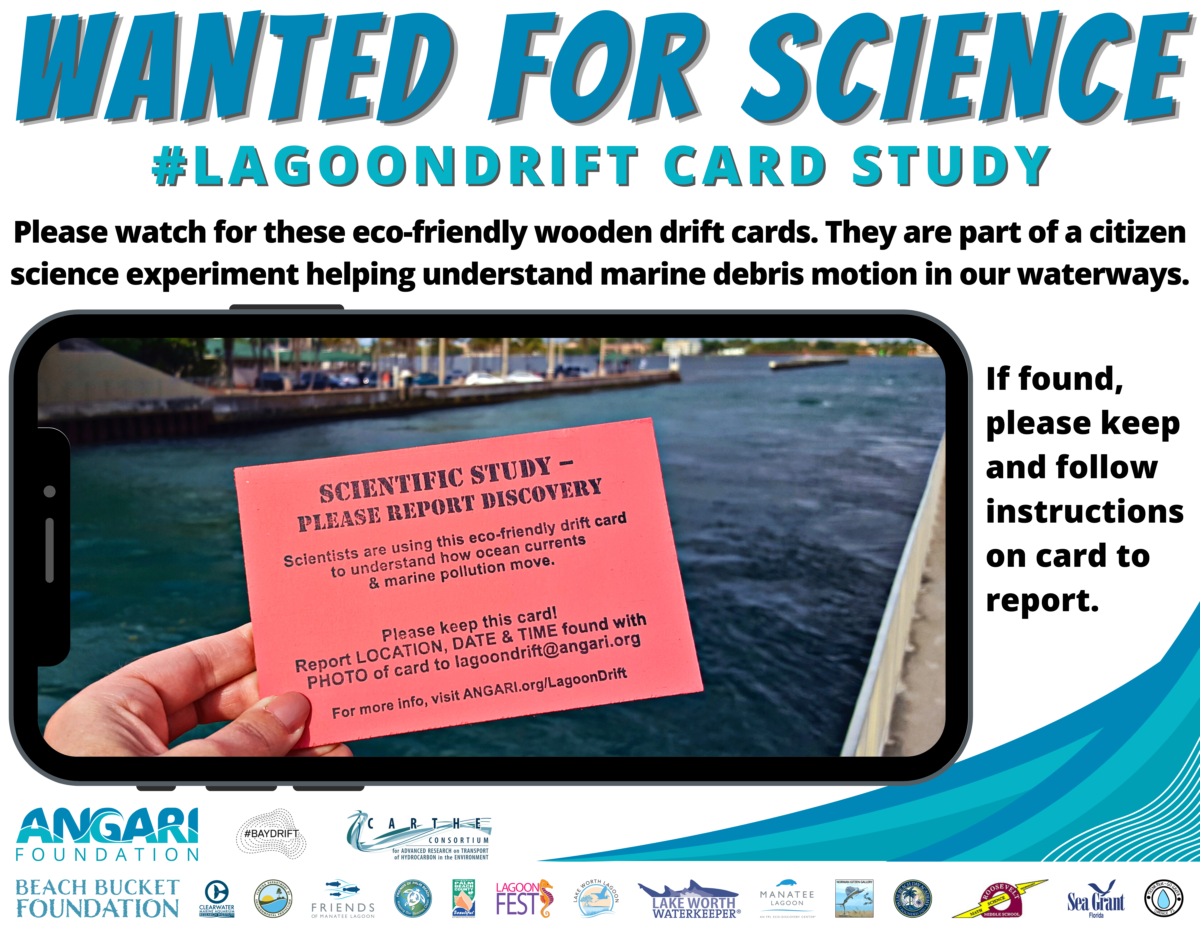 Lagoon Drift November 2022 Wanted Poster