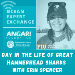 Ocean Expert Exchange with Erin Spencer