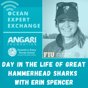 Ocean Expert Exchange With Erin Spencer