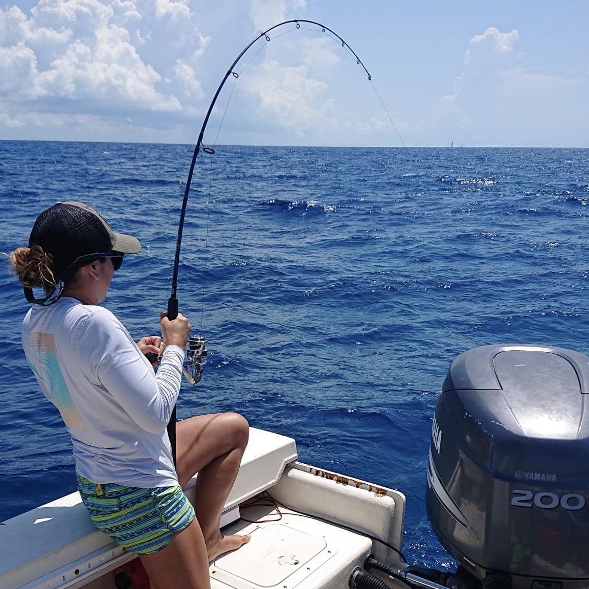 Reeling in a permit (Trachinotus falcatus) so I can collect measurements and tissue samples. This project aimed to quantify shark depredation rates in the Florida Keys. PC: Kirk Gastrich