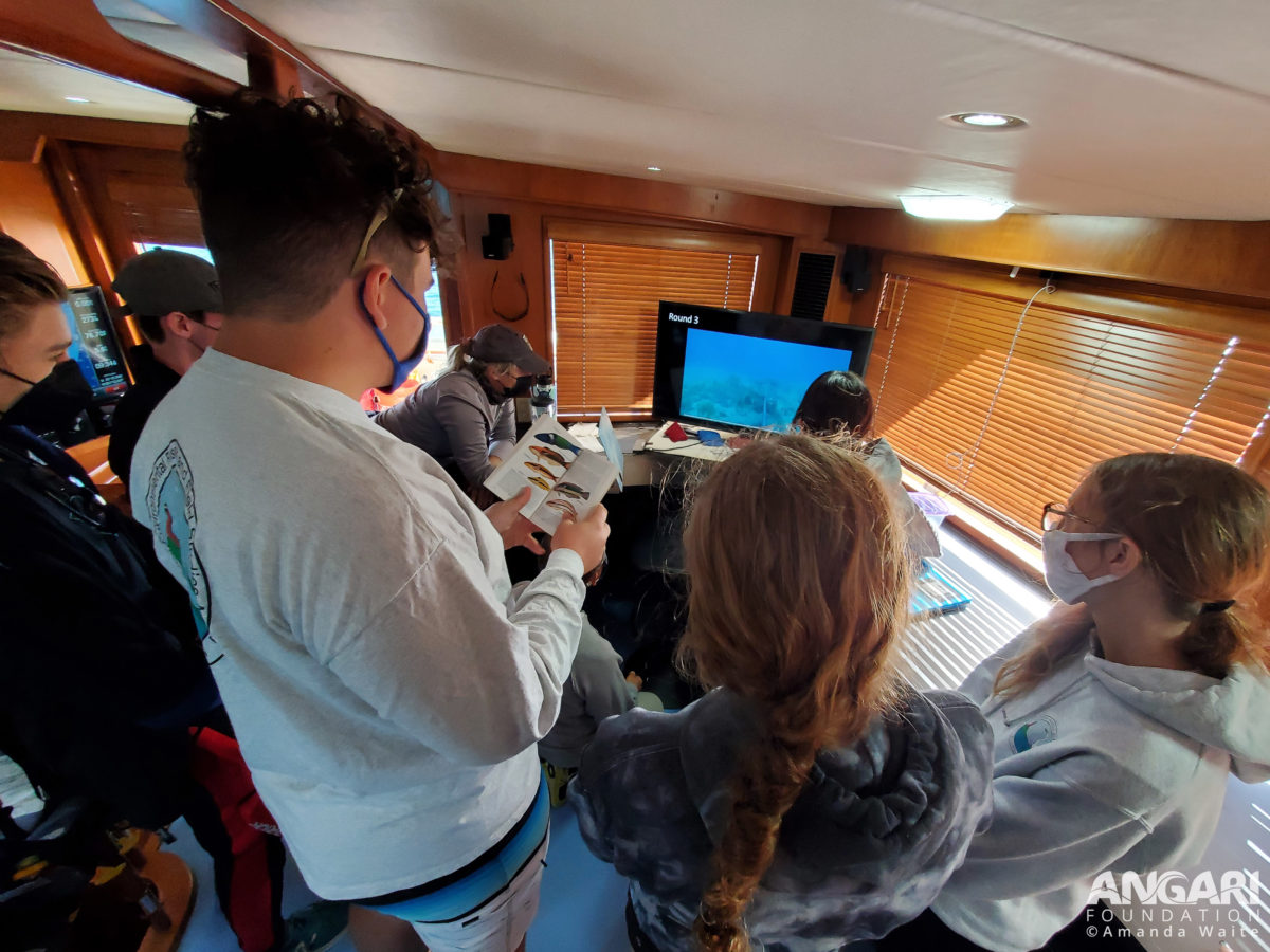 EXP 53: Students learned how to analyze BRUVS footage and practiced their species identification skills in R/V ANGARI’s indoor lab. PC: Amanda Waite