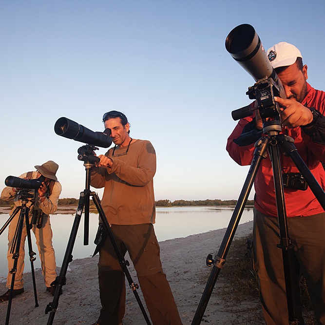Though I am primarily a marine ecologist, sometimes I have the opportunity to go birding. This picture was of me in the Yucatan, Mexico looking for Caribbean Flamingos. PC: Claudio Contreras