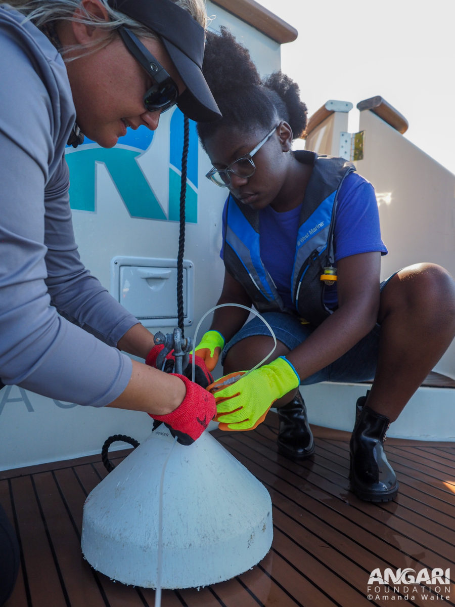 EXP 55: A shackle is used to attach the monofilament to the weight by a participant with the guidance of an FIU scientist. PC: Amanda Waite