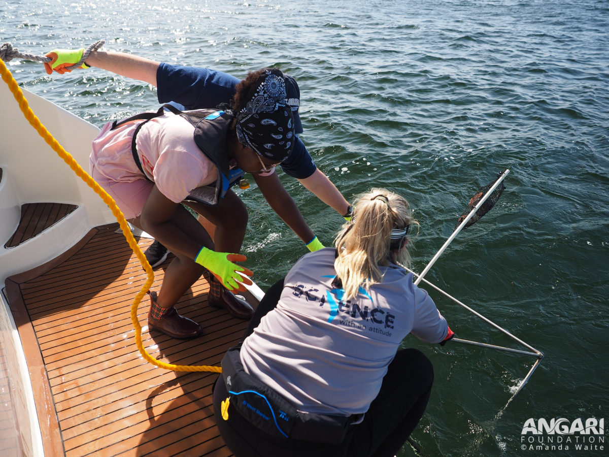 EXP 55: FIU scientists and one of the library volunteers launch the BRUVS from R/V ANGARI’s swim platform. PC: Amanda Waite