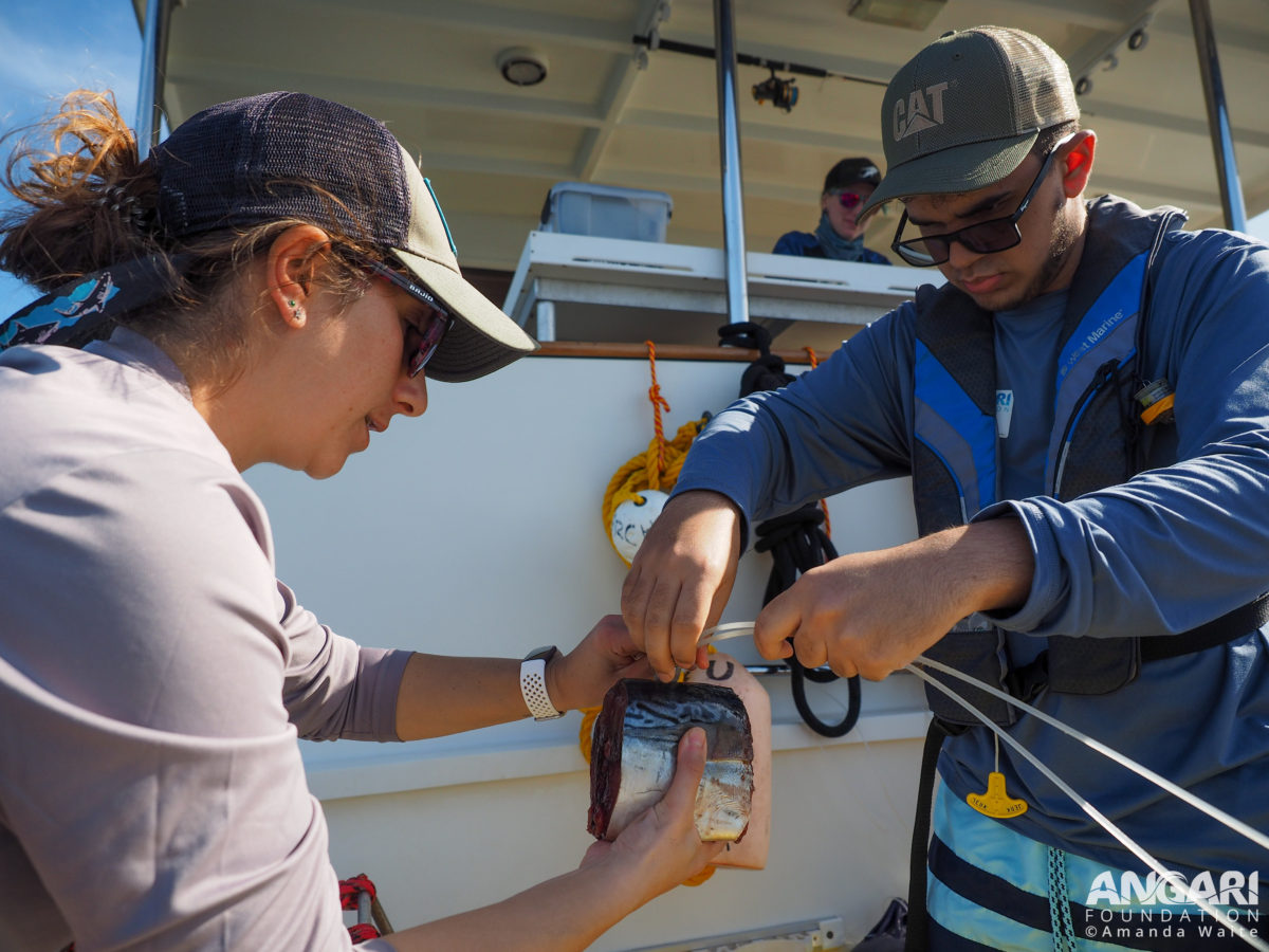 EXP 55: A scientist assists a library volunteer in baiting the hook that will be used in the upcoming drumline deployment. PC: Amanda Waite