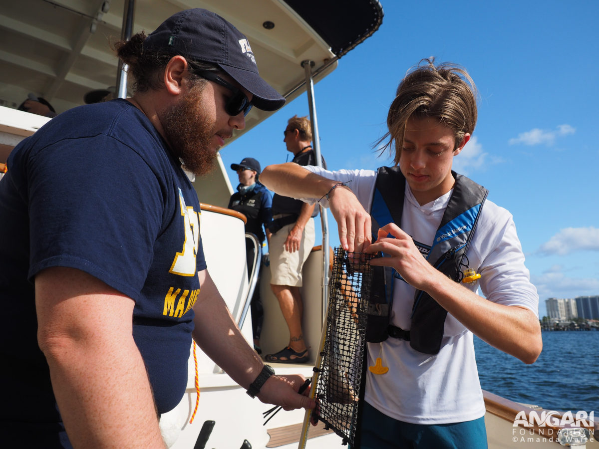 EXP 56: A student works with an FIU scientist to fill the BRUVS’ bait cage, which is used to attract marine life into the camera’s field of view. PC: Amanda Waite