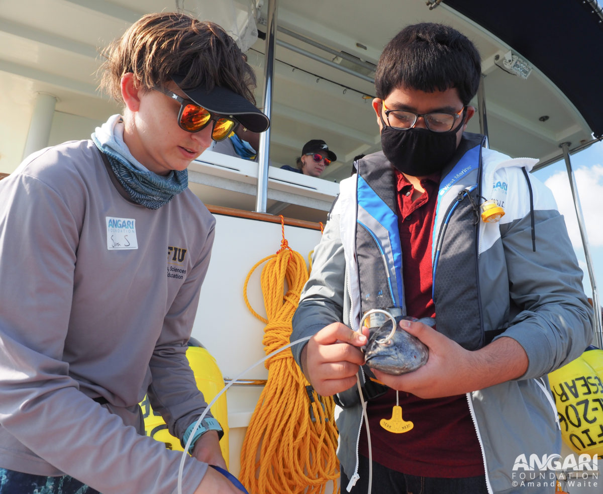 EXP 58: Once on site, students worked alongside scientists to prepare and deploy specialized fishing gear called drumlines. The first step is baiting the hook. PC: Amanda Waite