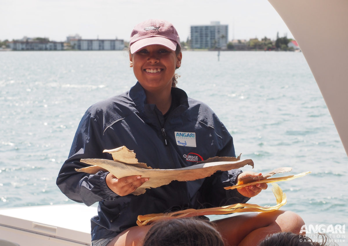 EXP 59: A final exercise of the day was to examine shark fins and jaws and discuss the importance of and threats to sharks globally. PC: Amanda Waite