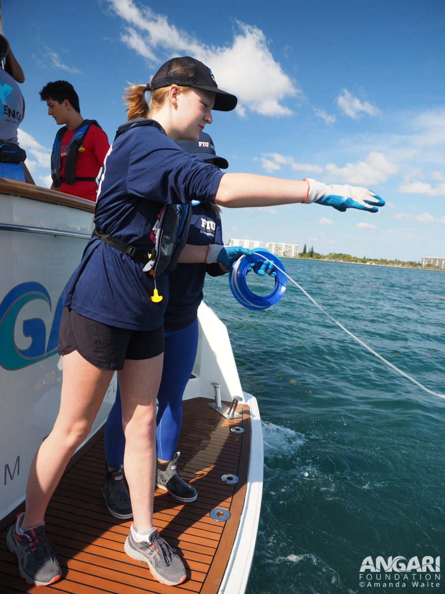 EXP 59: On these expeditions, students work alongside scientists to build and deploy drumlines, specialized and important equipment used in shark research. PC: Amanda Waite