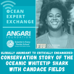 Ocean Expert Exchange with Candace Fields