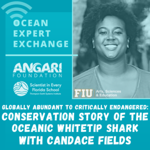 Ocean Expert Exchange With Candace Fields