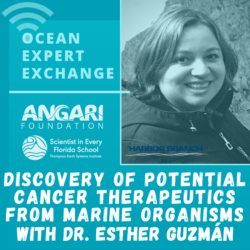 Ocean Expert Exchange with Esther Guzmán