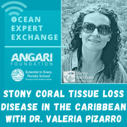 Ocean Expert Exchange with Valeria Pizarro