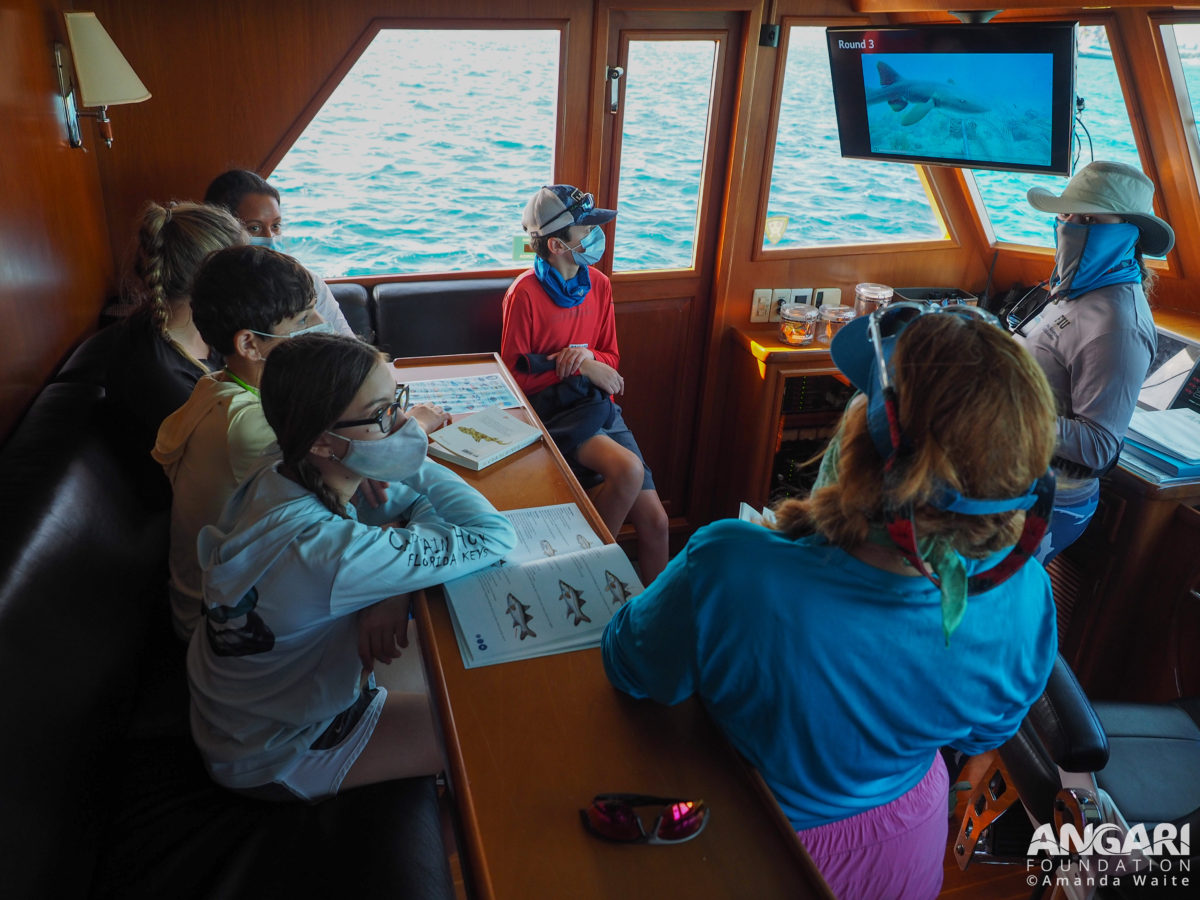 EXP 60: After recovering the BRUVS, everyone gathers in R/V ANGARI's pilothouse to watch the footage and record what species are observed. PC: Amanda Waite