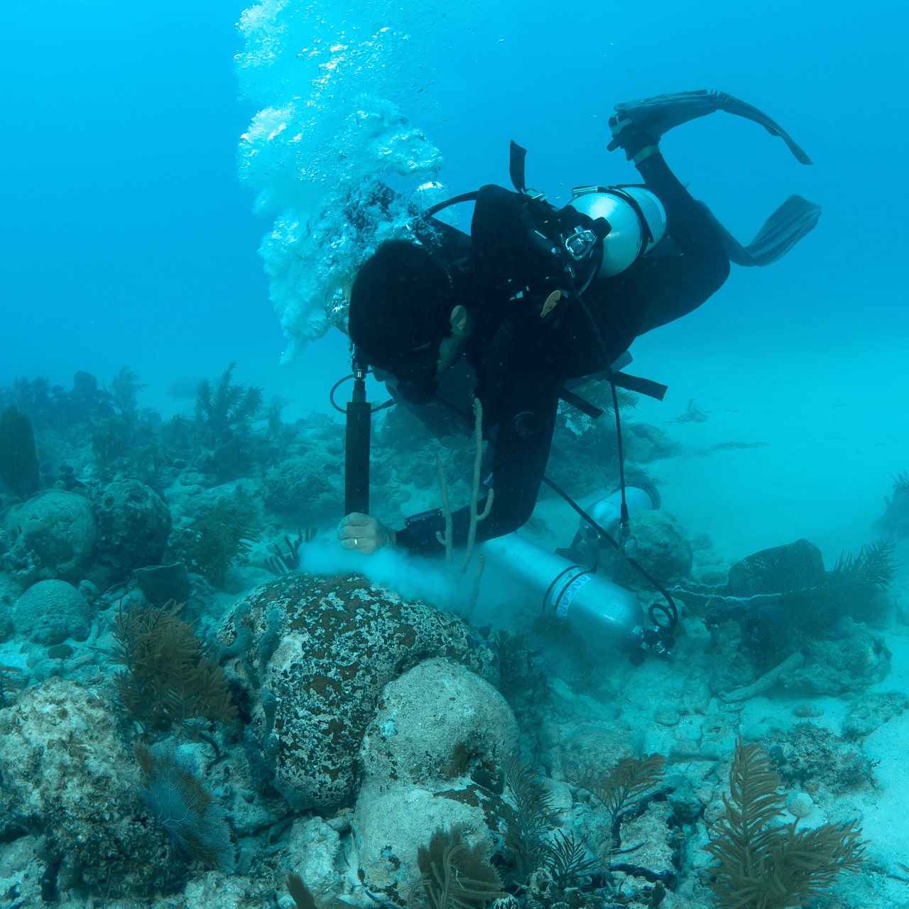 Collecting coral cores in the Florida Keys on Expedition 10. PC: Kevin Davidson