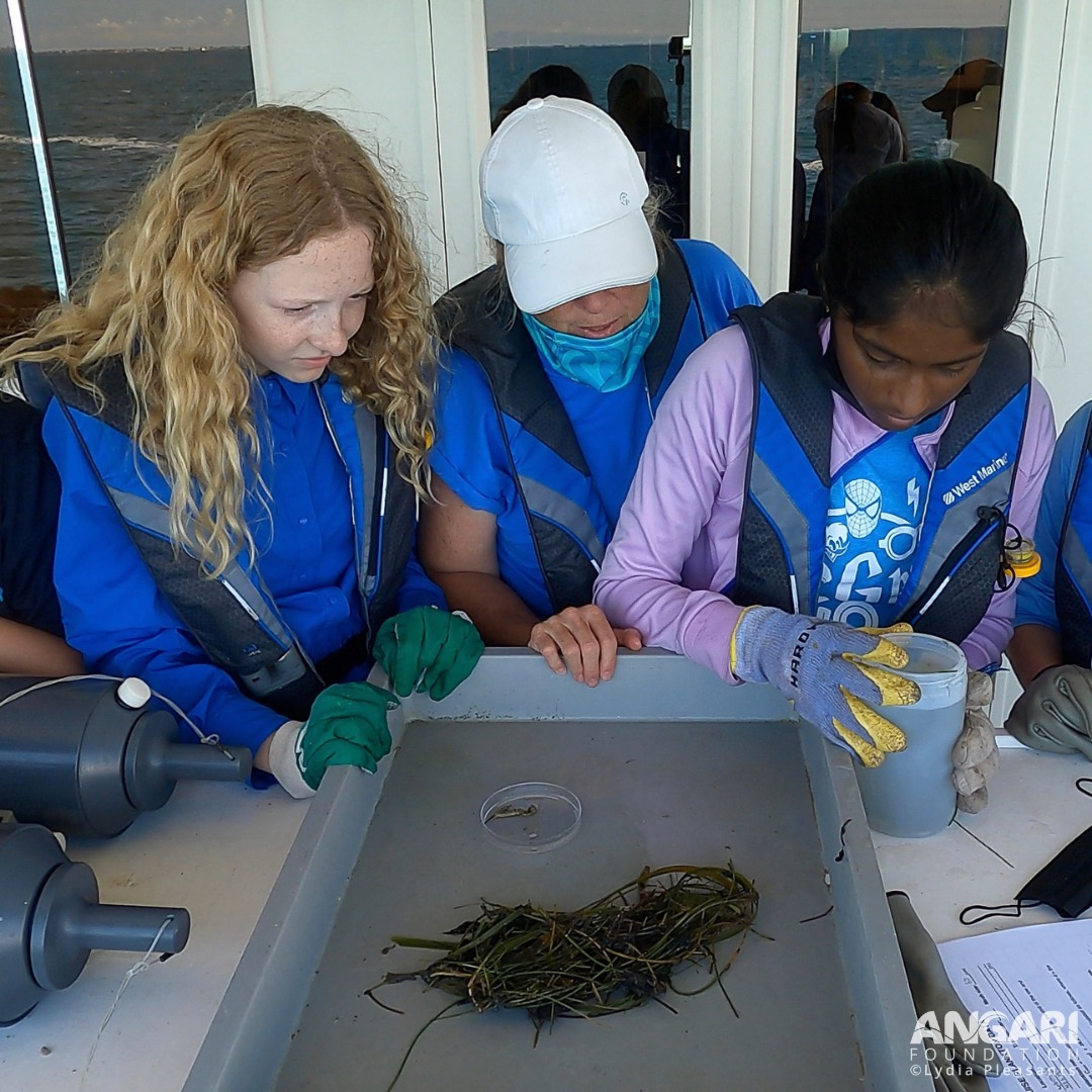 With the Oceanography Camp for Girls preparing plankton samples to examine who’s who amongst the drifters of the sea. Lots of seagrass here!