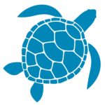 Sea Turtle Icon