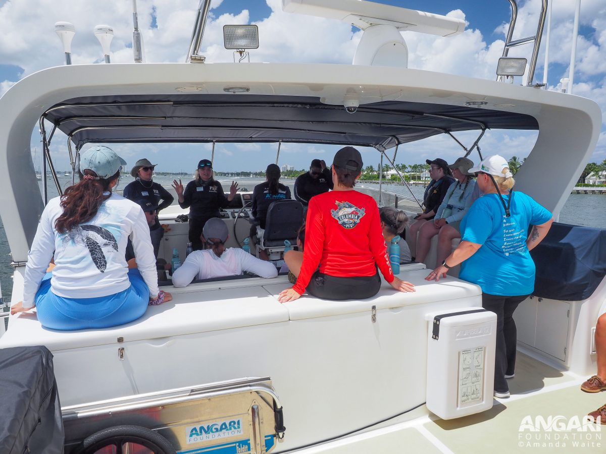 Chief scientist, Erin Spencer, and her team discuss shark research being done by members of their labs at FIU with educators on R/V ANGARI’s flybridge. PC: Amanda Waite