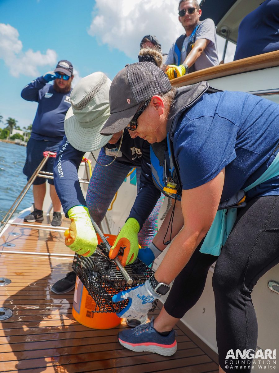 Before deploying a baited remote underwater video system (BRUVS) into the Lake Worth Lagoon, a scientist and teacher work together to attach a bait cage. PC: Amanda Waite