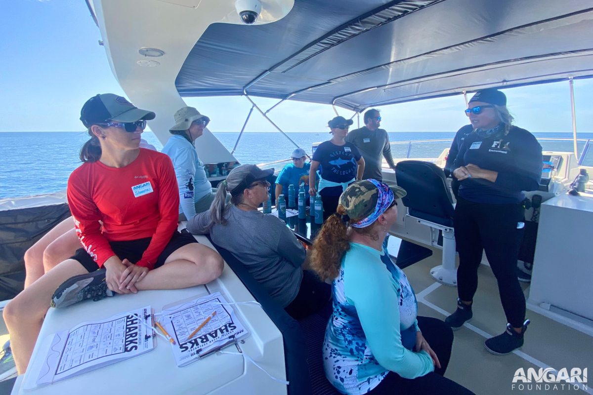 The educators worked with their teams to identify local landmarks, marine life and more for bingo during the Coastal Ocean Explorers: Sharks Expedition aboard R/V ANGARI.