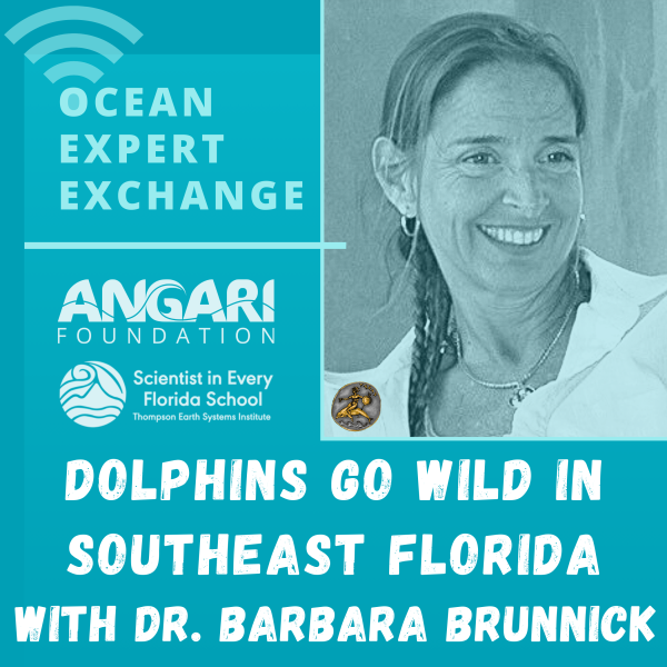 Ocean Expert Exchange - ANGARI Foundation