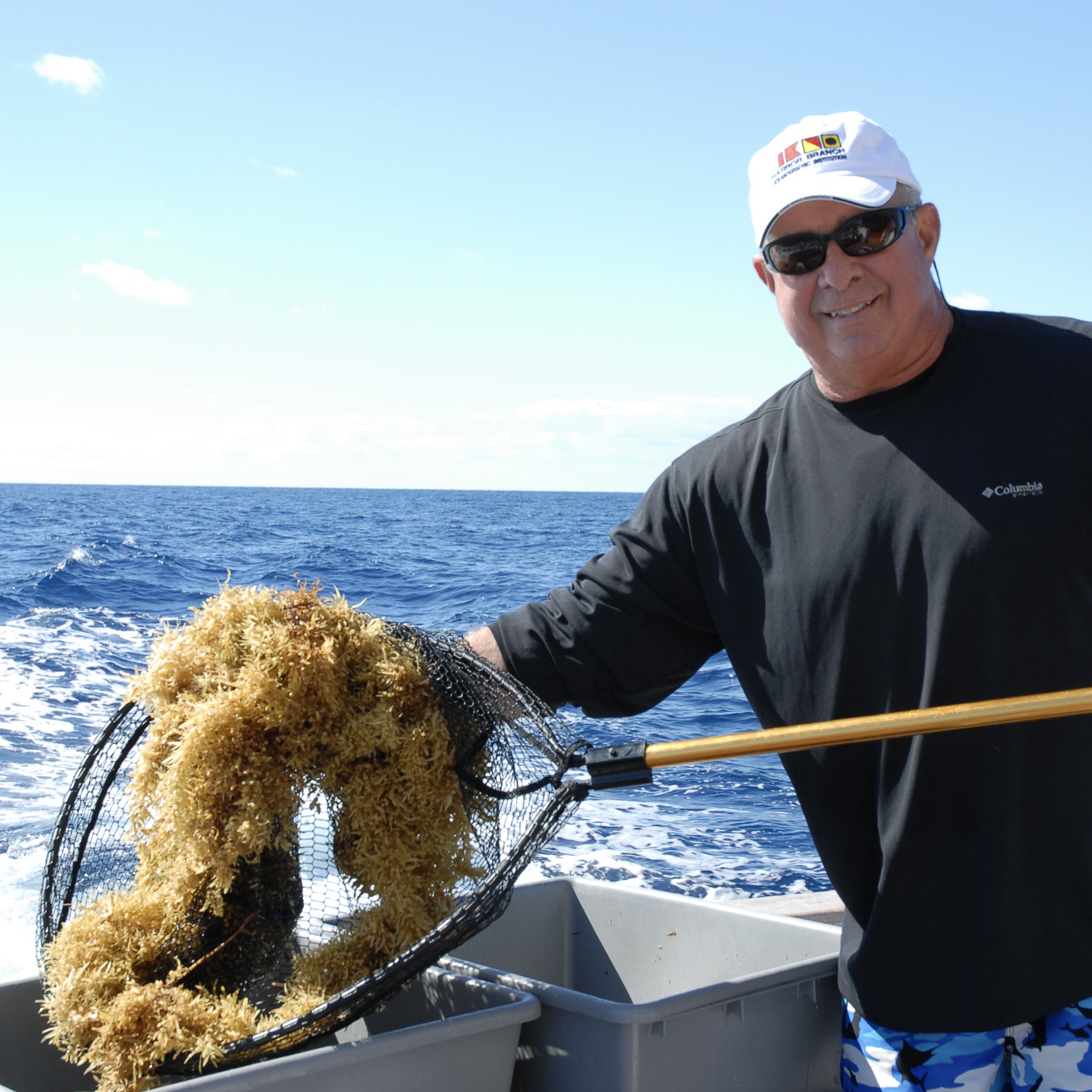 One Of The Best Ways To Collect Sargassum Is To Simply To Use A Net.