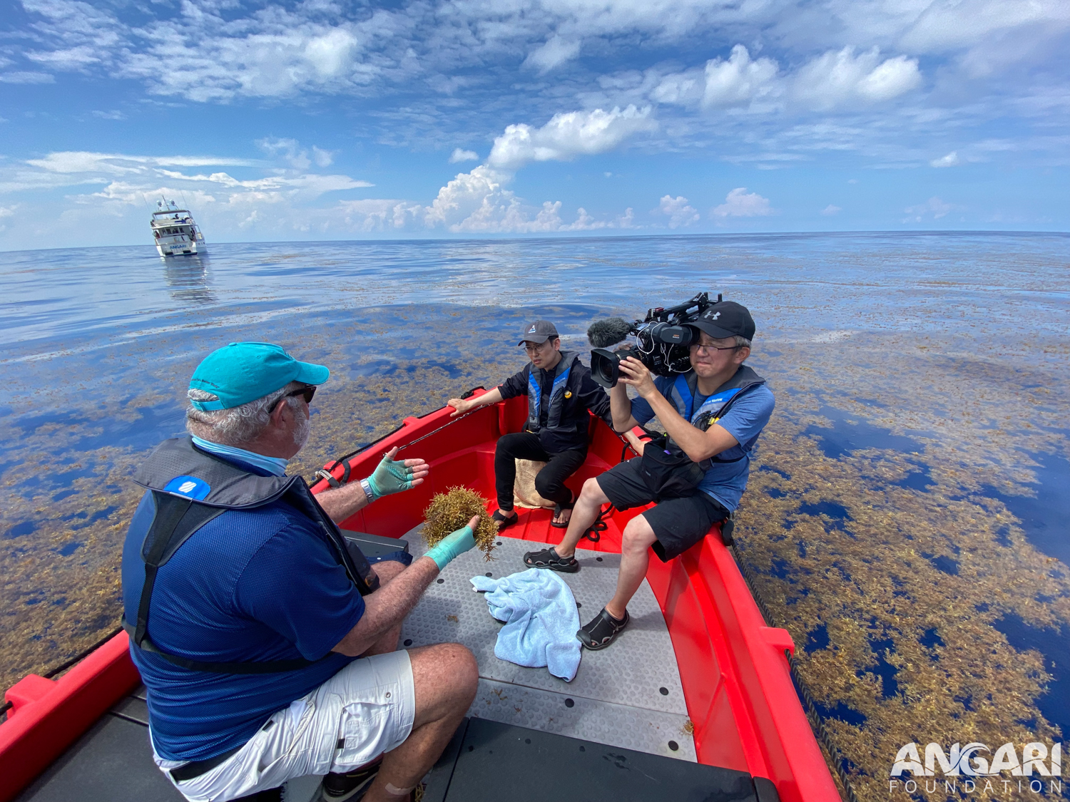 EXP 64: NHK Japan's Media Crew Joined Scientist Brian Lapointe In The Middle Of The Ocean Surrounded By Sargassum. PC: Kevin Davidson