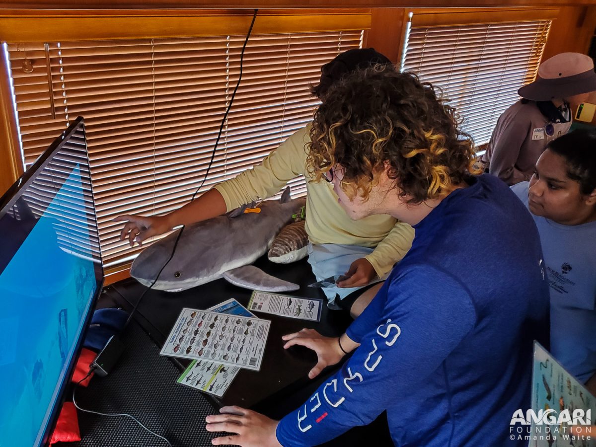 EXP 72: While The Baited Remote Underwater Video System (BRUVS) Is Deployed, Students Work Together To Review And Identify Marine Species In Curated BRUVS Footage. PC: Amanda Waite