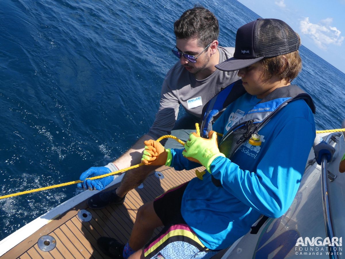 Coastal Ocean Explorers: Sharks