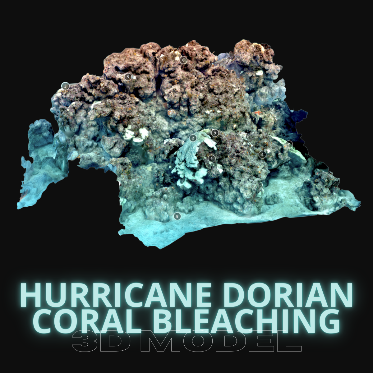 Perry Institute for Marine Science's Hurricane Dorian Coral Bleaching 3D Model