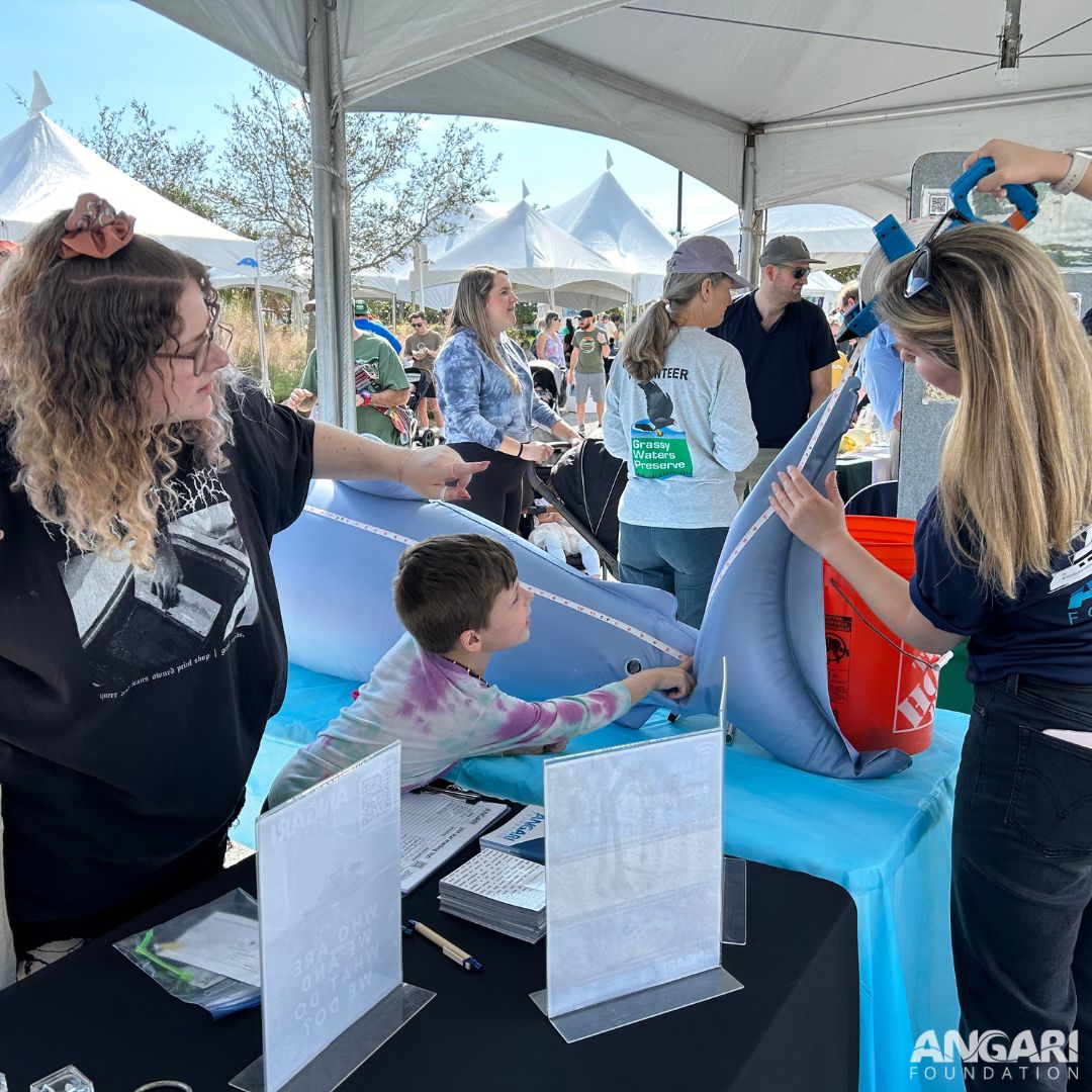 The ANGARI team working with members of the public attending ManateeFest 2024, to measure Shelly the Shark.