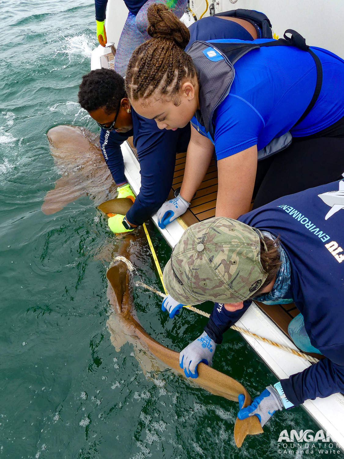 EXP 76: A STEAM Academy Student Helps The Scientists Collect A Series Of Measurements From The Nurse Shark. PC: Amanda Waite
