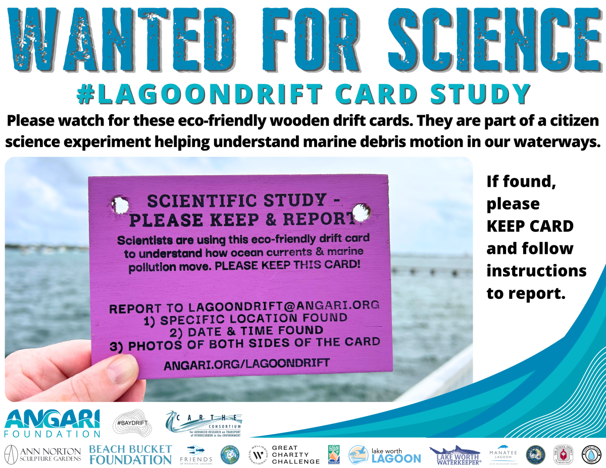 Lagoon Drift Card Study - Wanted Poster for Spring 2024 Experiment
