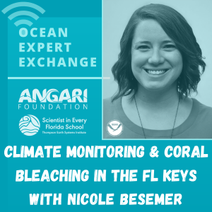 Nicole Besemer Ocean Expert Exchange Branded Graphic