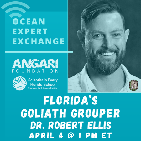 Dr. Robert Ellis Ocean Expert Exchange Branded Graphic