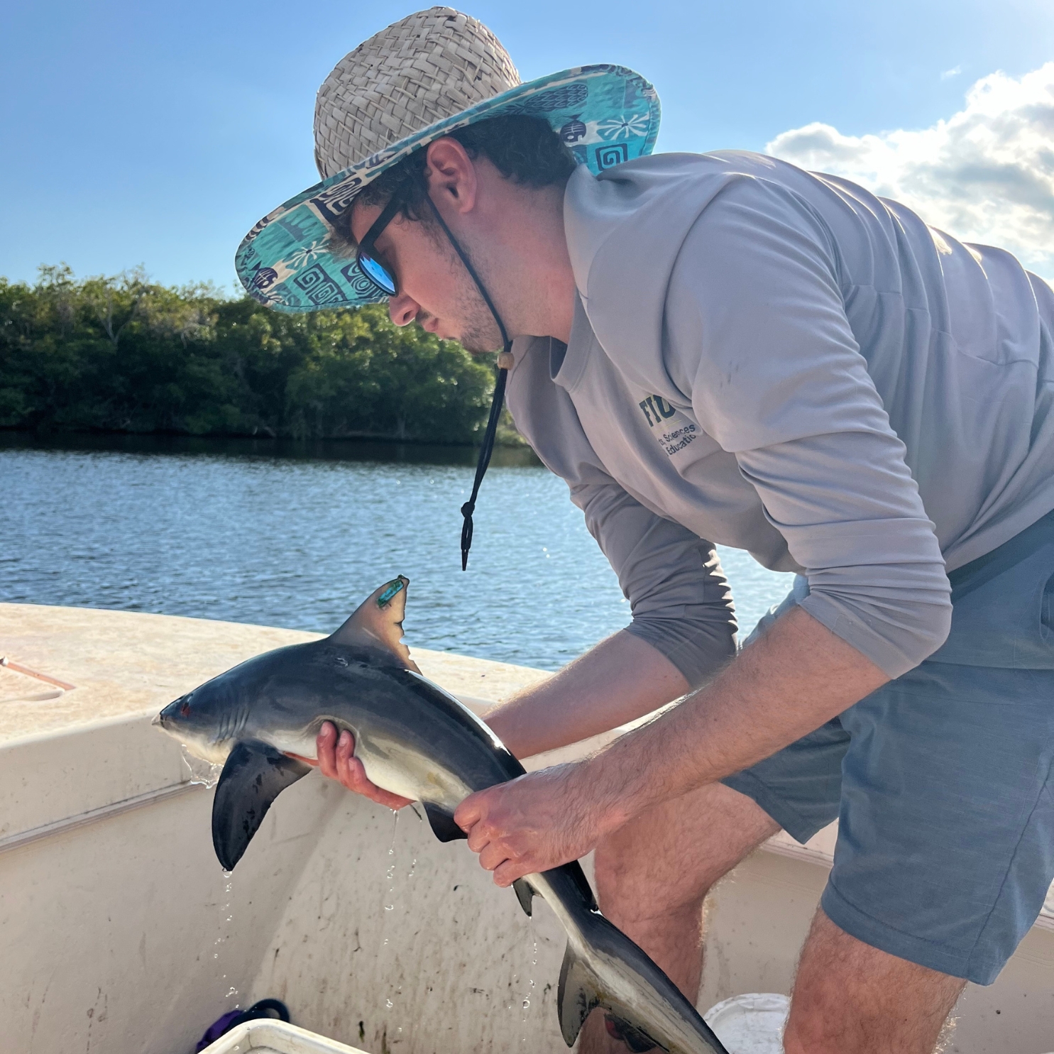 After completing the workup on this tagged bull shark I release it back into the Everglades. PC: Sophia Hemsi