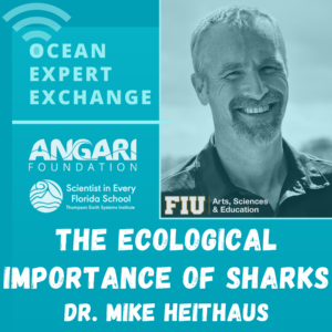 Ocean Expert Exchange Graphic For Dr. Mike Heithaus