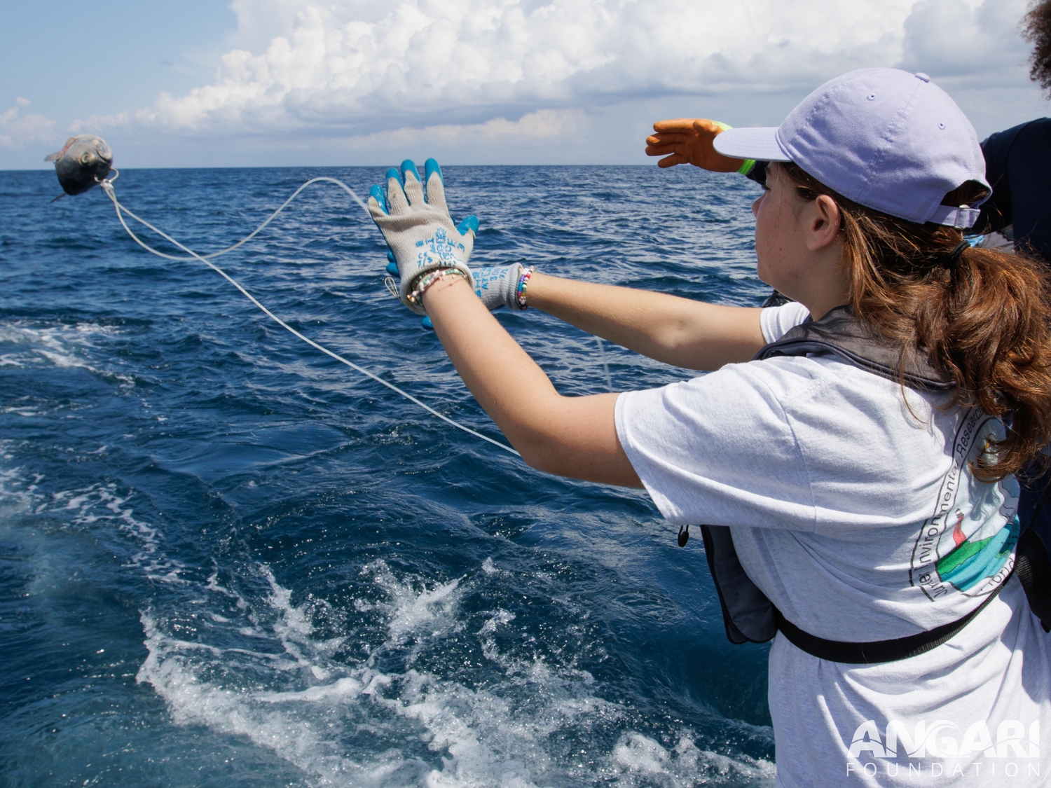 Coastal Ocean Explorers: Sharks