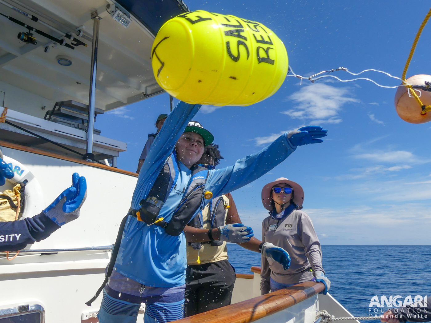 Coastal Ocean Explorers: Sharks