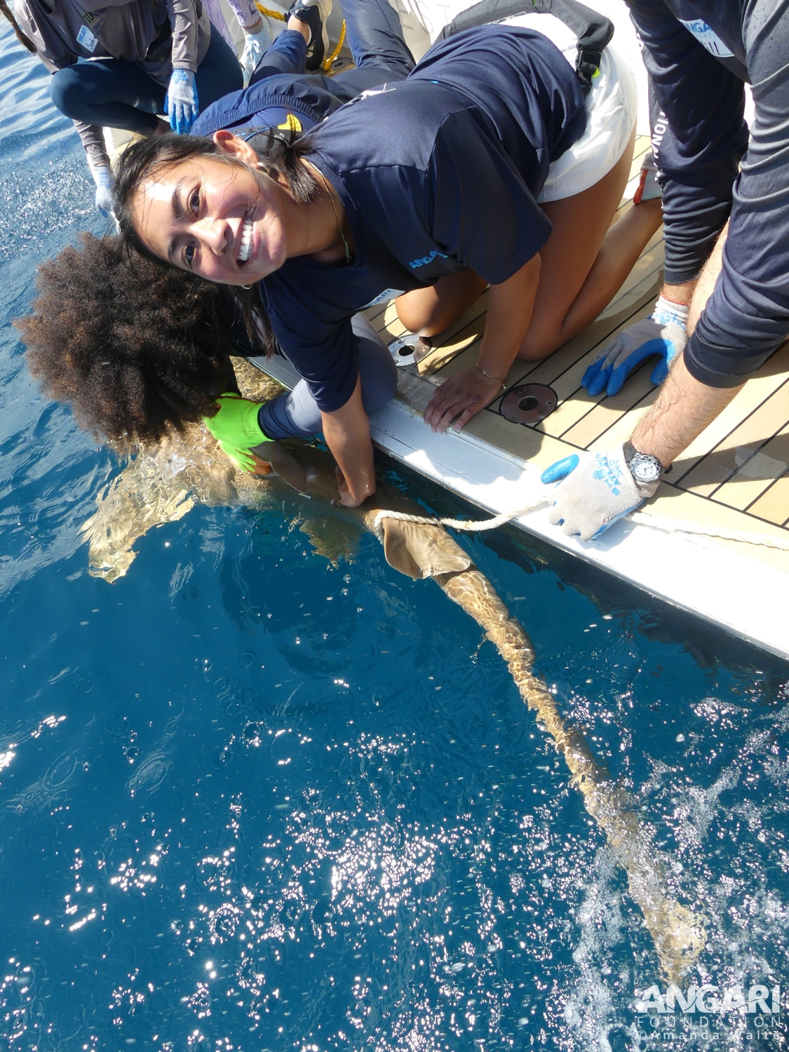 Getting up close with my first ever shark! All sharks were fished for, caught, studied and released for research purposes under Florida permits held by Florida International University scientists.