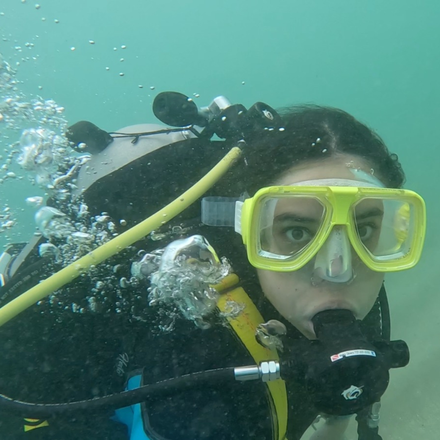 I enjoy SCUBA diving for fun at Lauderdale-by-the-Sea. PC: Mia Gabb