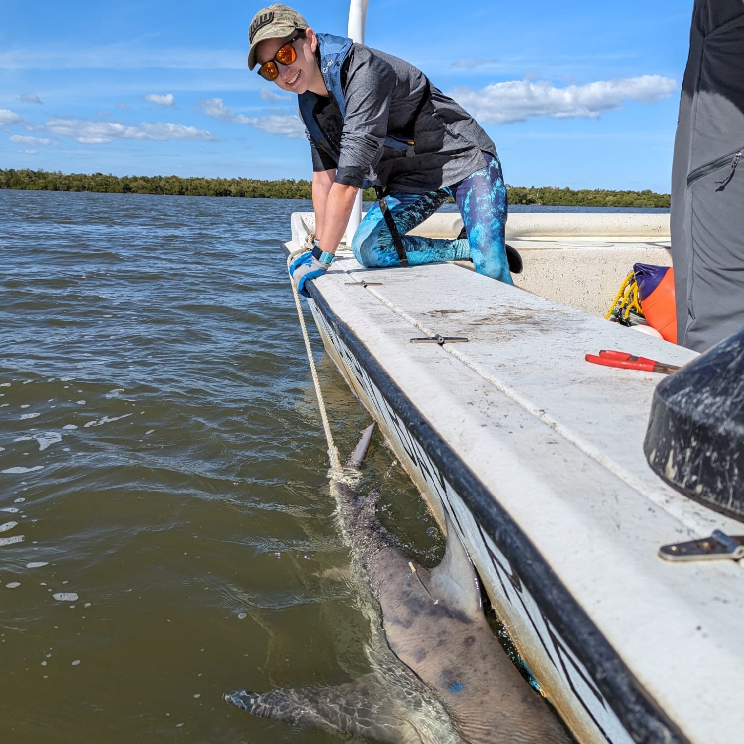 I Successfully Tagged And Collected Data On Our First Shark Of The Research Trip To Rookery Bay.