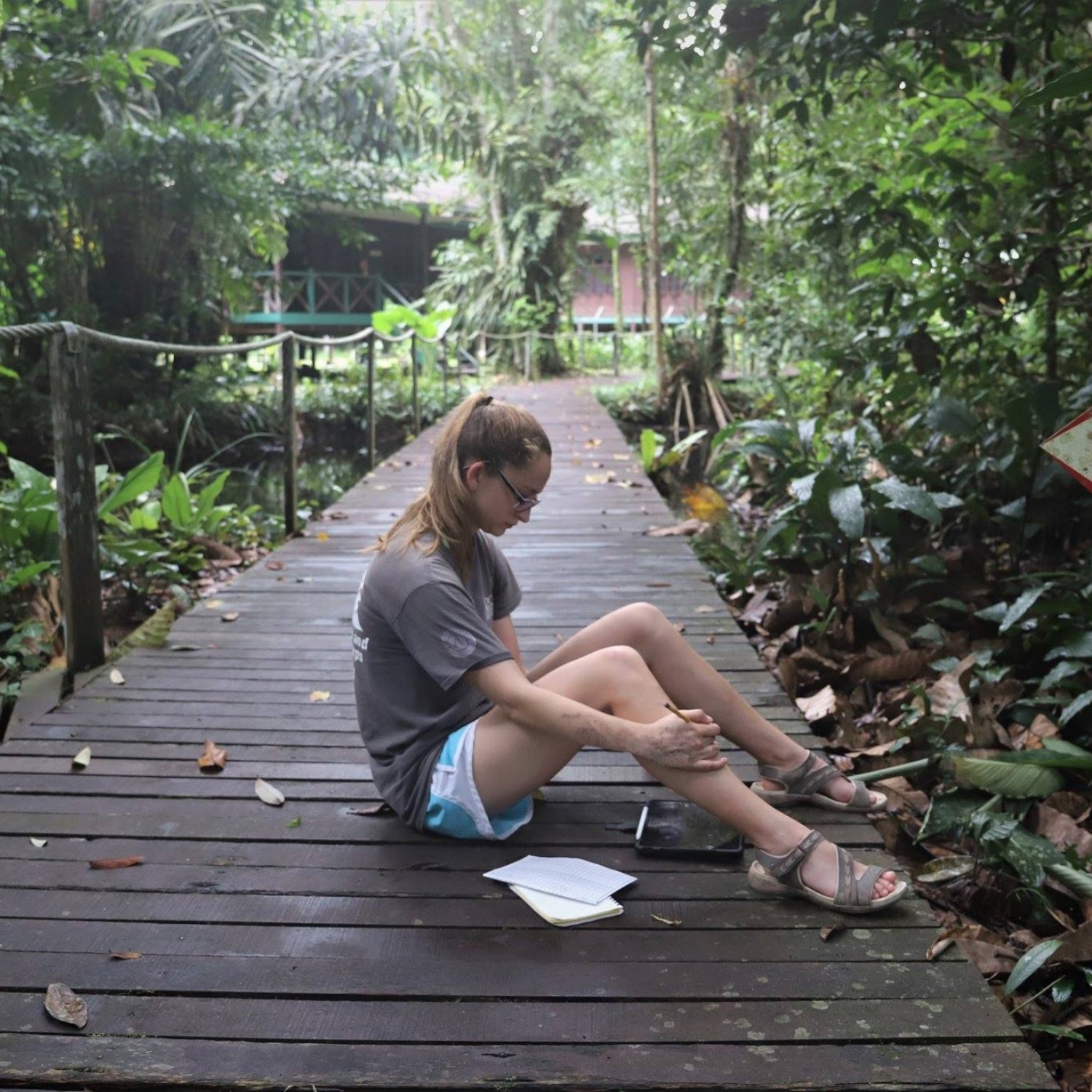 I am positioned on a boardwalk near the research center, counting frogs for a research project looking at call phenology and the relationship with frog biting midges.