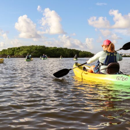 APPLY TODAY! - Summer 2025 Lake Worth Lagoon Educator Workshop