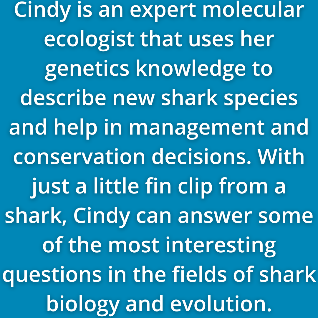 Cindy González Is An Expert Molecular Ecologist That Uses Her Genetics Knowledge To Describe New Shark Species And Help In Management And Conservation Decisions. With Just A Little Fin Clip From A Shark, Cindy Can Answer Some Of The Most Interesting Questions In The Fields Of Shark Biology And Evolution.