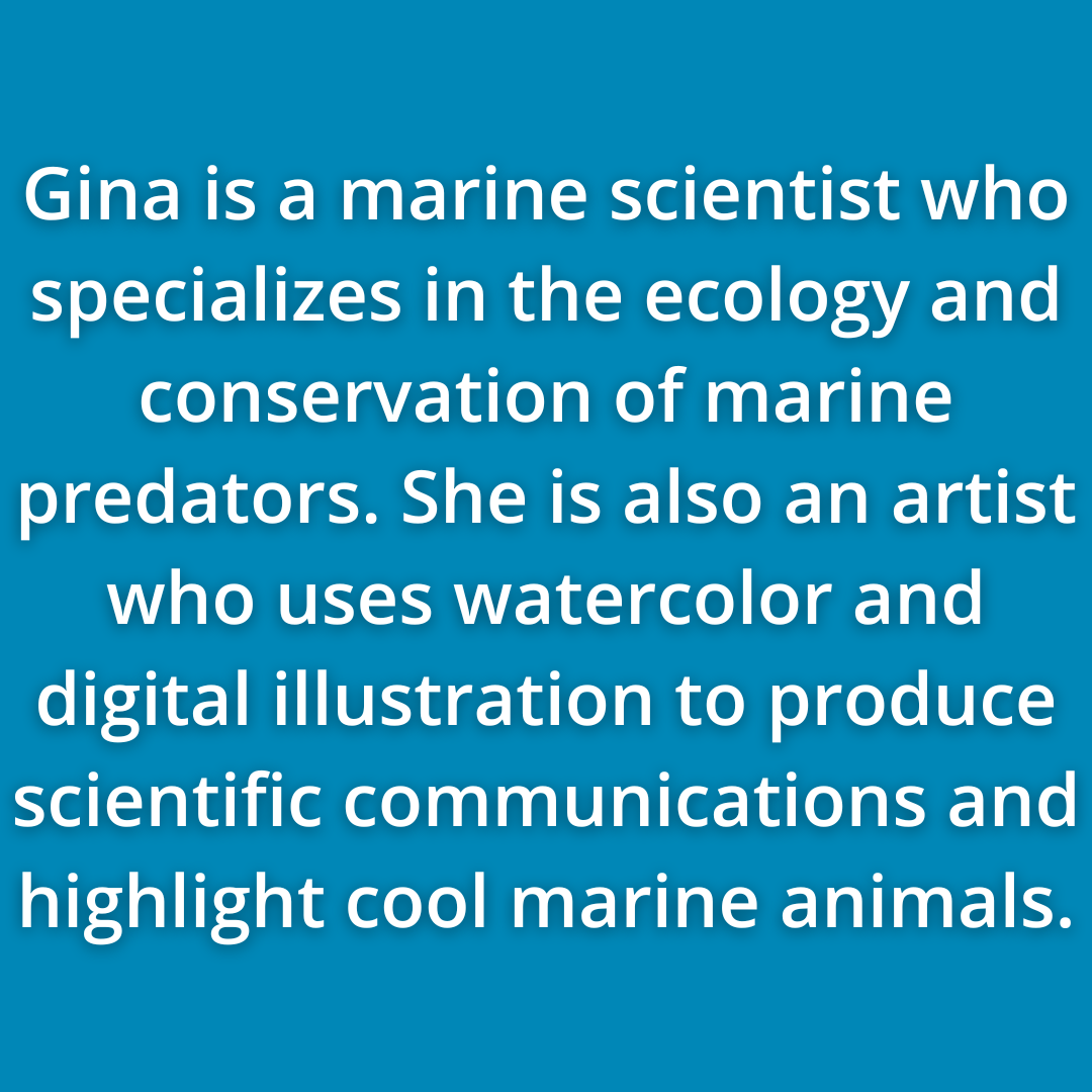 Gina Clementi Is A Marine Scientist Who Specializes In The Ecology And Conservation Of Marine Predators. She Is Also An Artist Who Uses Watercolor And Digital Illustration To Produce Scientific Communications And Highlight Cool Marine Animals.