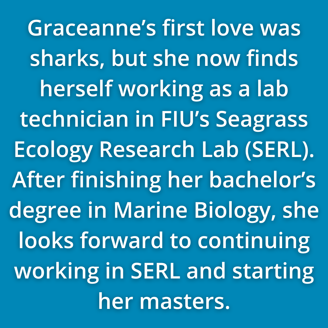 Graceanne Barksdale’s First Love Was Sharks, But She Now Finds Herself Working As A Lab Technician In FIU’s Seagrass Ecology Research Lab (SERL). After Finishing Her Bachelor’s Degree In Marine Biology, She Looks Forward To Continuing Working In SERL And Starting Her Masters.