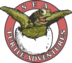 Sea Turtle Adventures Logo