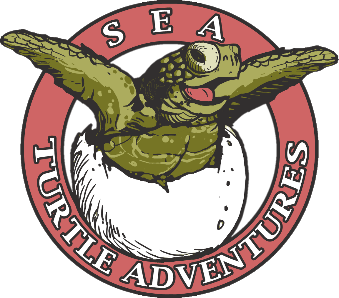 Sea Turtle Adventures Logo