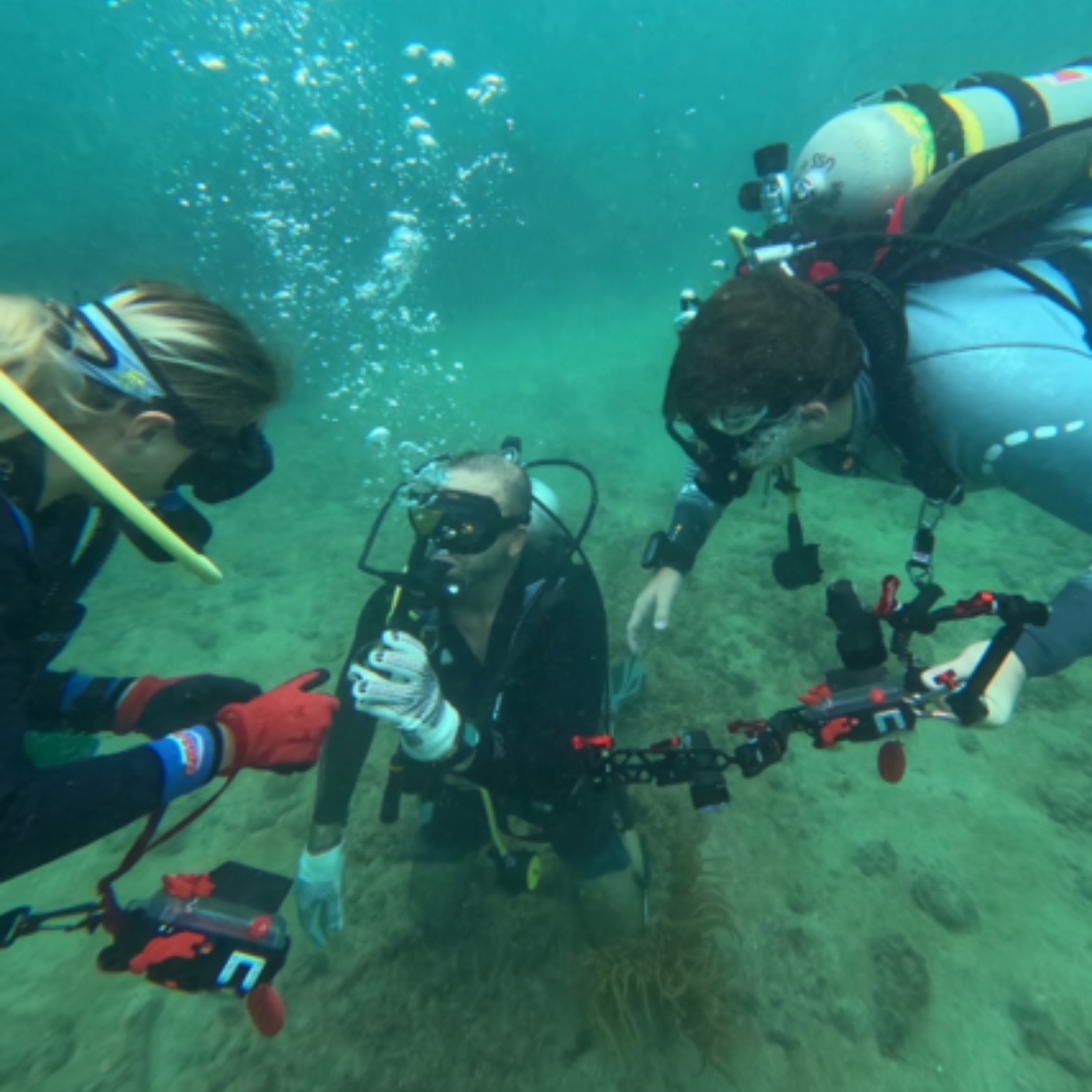 As part of work I go and SCUBA dive with students.